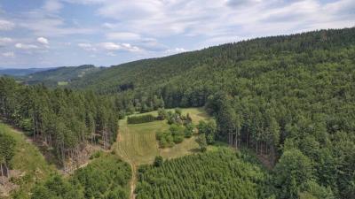 Prodej, chalupa, Hošťálková